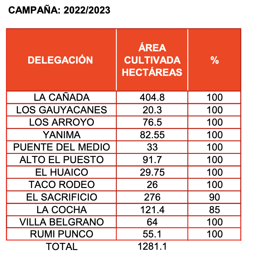 campaña 2022/2023